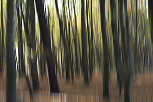 blur-mini-004