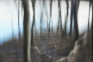 blur-mini-029