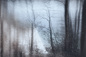 blur-mini-031
