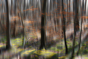 blur-mini-039