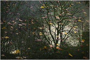 natur-mini-03