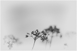 poetic-mini-01