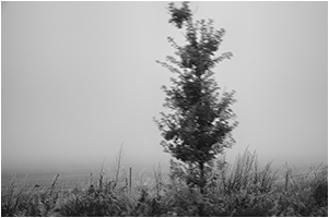 poetic-mini-03