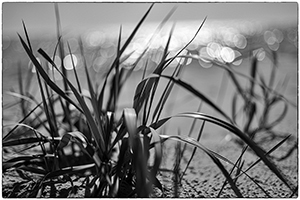 poetic-mini-31